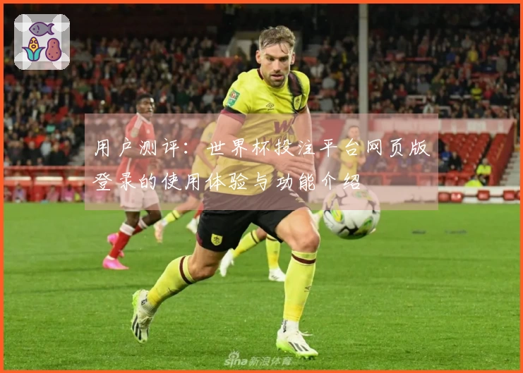 用户测评：世界杯投注平台网页版登录的使用体验与功能介绍