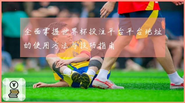 全面掌握世界杯投注平台平台地址的使用方法与技巧指南
