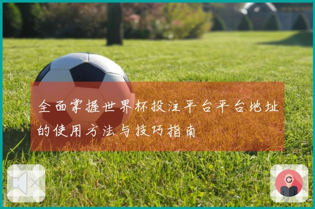 全面掌握世界杯投注平台平台地址的使用方法与技巧指南